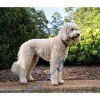 Country Brook Petz 6 Foot Dog Leash - Summer Breeze Collection - 3 of 4
