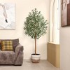 DR.Planzen 5/6/7FT Single-Trunk Artificial Olive Tree with White Planter, Faux Olive Plant for Indoor & Outdoor Home Decor - 2 of 4