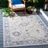 Sunrise SUN624 UV & Stain Resistant Non-Shedding Power Loomed Indoor/Outdoor Rugs - Safavieh - 2 of 4