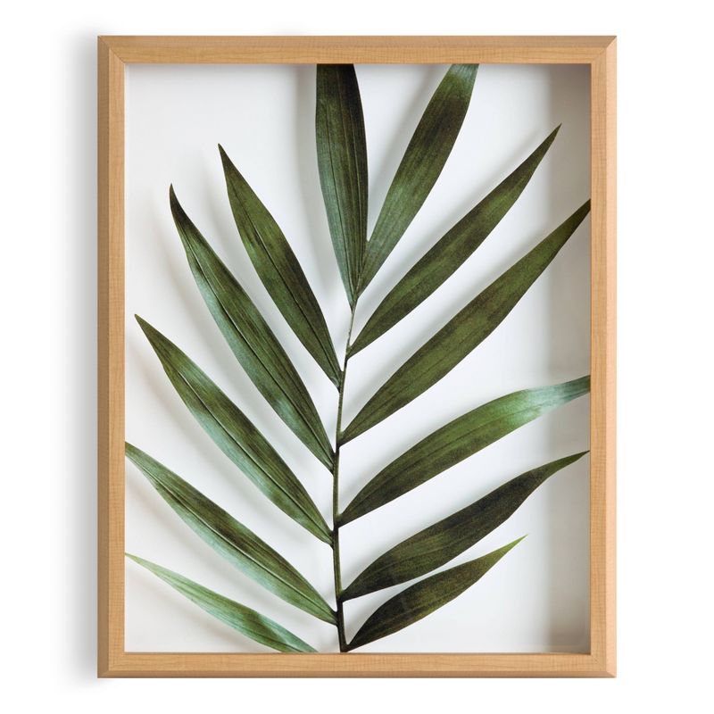 16&#34; x 20&#34; Blake Botanical 5F Framed Printed Glass by Amy Peterson Natural - Kate and Laurel, 3 of 10