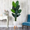 Nearly Natural 6-ft Traveler's Palm Artificial tree in White Planter with Stand - 3 of 4