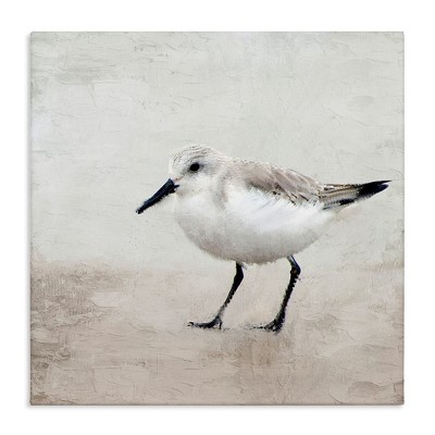 Stupell Industries Lone Sandpiper Bird Portrait, 24" x 24"