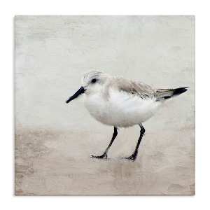 Stupell Industries Lone Sandpiper Bird Portrait, 24" x 24" - 1 of 4