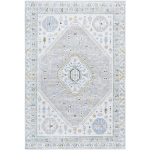 Bayside BAY118 Machine Washable Power Loomed Indoor Rugs - Safavieh - 1 of 4