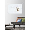 Trends International The Comedy Wildlife Photography Awards: Angela Bohlke - Diving Fox Unframed Wall Poster Prints - 2 of 4