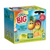 GoGo SqueeZ Big Variety Pack Apple Mango Banana Passfruit Pineapple Peach - 42.3oz/10ct - image 2 of 4