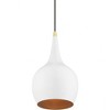 Livex Lighting Andes 1 - Light Pendant in  Shiny White/Polished Brass - 2 of 3