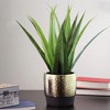Northlight 17" Agave Succulent Artificial Potted Plant - Green/Gold - 2 of 4