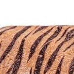 8pcs safari zoo animals figurines