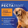 EcoNugenics PectaPaws Pectasol-C + Glucosamine Chewables for Dogs - Beef - 90ct - 2 of 4
