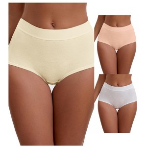 INSPIRE CHIC Women's High Waist Tummy Control Elastic Waistband Comfortable Brief 3 Packs - 1 of 4