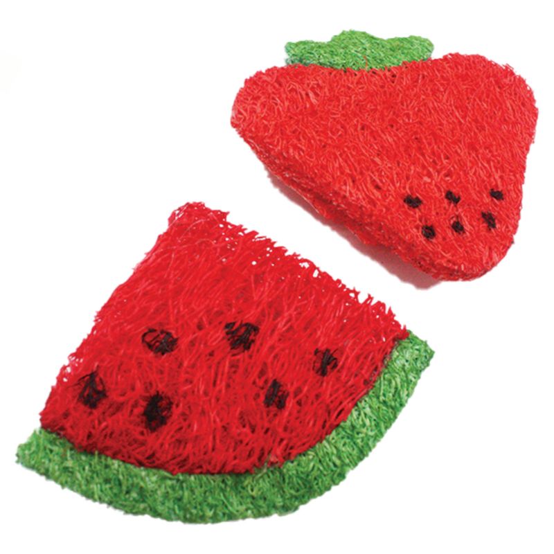 AE Cage Company Nibbles Strawberry and Watermelon Loofah Chew Toys - 2 count, 2 of 5