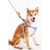 Touchdog  'Macaron' 2-in-1 Durable Nylon Dog Harness and Leash - 3 of 3