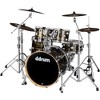 ddrum Dominion Series Birch 5-Piece Shell Pack - 3 of 4