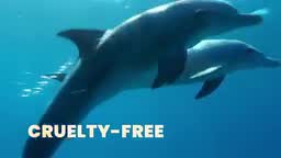 Hawaiian Tropic Sheer Touch Ultra Radiance Lotion Sunscreen - 8oz, 2 of 10, play video