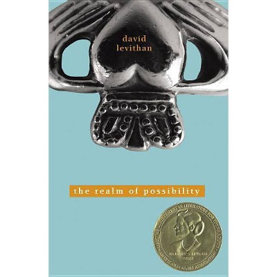 The Realm of Possibility - by  David Levithan (Paperback)