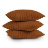 16"x16" Deny Designs Little Arrow Design Co Vert Triple Dash Ginger Square Outdoor Throw Pillow Orange - 4 of 4