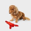 10.92" Americana Lobster Dog Rope Plush Toy - Sun Squad™ Red - 2 of 3
