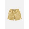 Men's Volley Trunk - Katin - 3 of 4