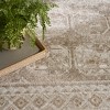 Nourison Dekor Vintage Indoor Area Rug - 3 of 4