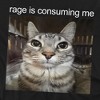 Men's Funny Meme Rage Is Consuming Me T-Shirt - 2 of 4