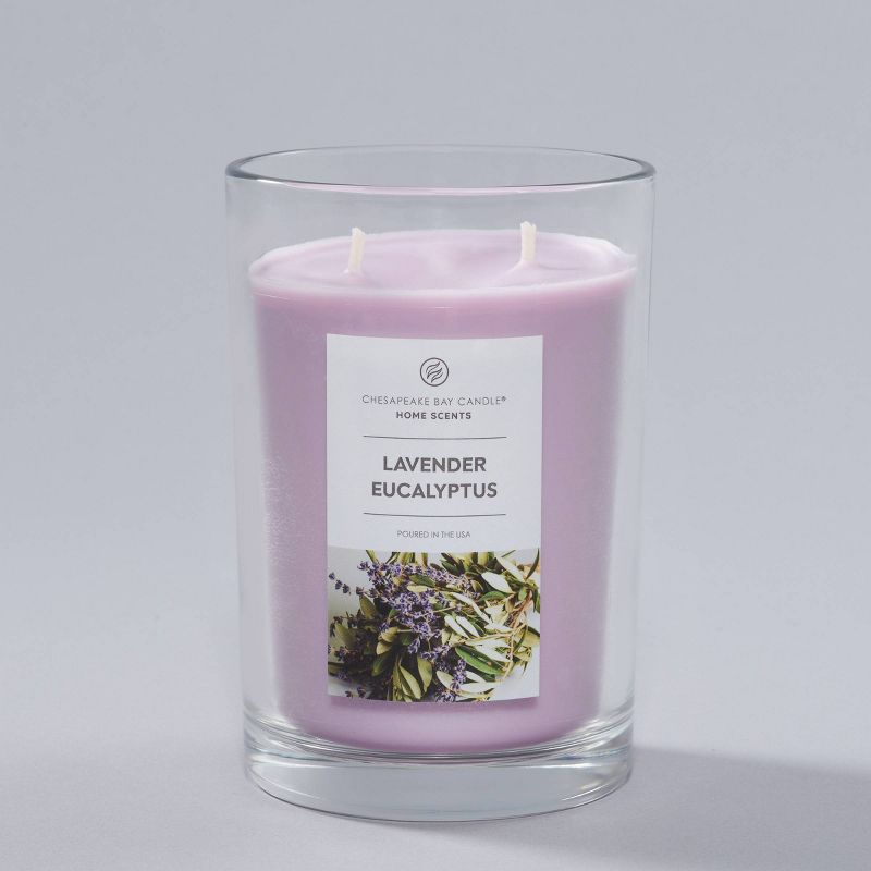 19oz 2 Wick Jar Candle Lavender Eucalyptus - Home Scents by Chesapeake Bay Candle, 4 of 9