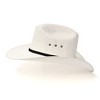 Western Express White Straw Western Cattleman Hat with Feather Accent - 3 of 4