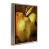 Stupell Industries Vintage Apples Close Up Floating Frame Canvas Art - 2 of 4