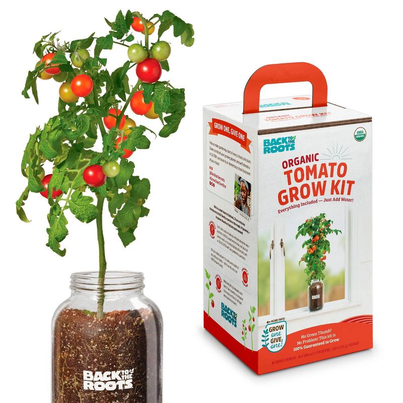 Back to the Roots Organic Tomato Grow Kit, 1 of 15