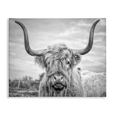Stupell Industries Black and White Highland Cow Photograph