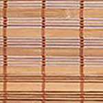 Squirrel Brown