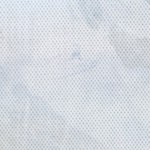 coastal white