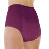 Wearever  Women's Maximum Absorbency Washable Reusable Bladder Control Panties - 4 of 4