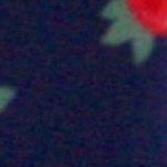 navy red flower