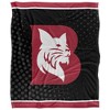 Bates College Logo Dots Silky 50x60 Blanket, 1 Sided - 2 of 4