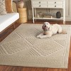 Selena SLE670 Power Loomed Indoor Rug - Safavieh - 3 of 4