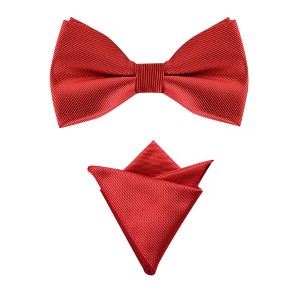 Allegra K Men's Business Causal Matching Pocket Squares Pre-Tied Bow Tie Sets - 1 of 4