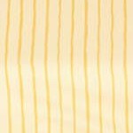 yellow stripe