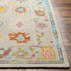Hauteloom Kapaya Wool Living Room, Bedroom Area Rug - Traditional - 4 of 4
