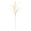 Melrose Foxtail Pod Spray (Set of 12) - 2 of 4