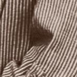 brown stripe