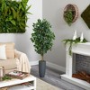 Nearly Natural 5-ft Ficus Artificial Tree in Gray Planter - image 4 of 4