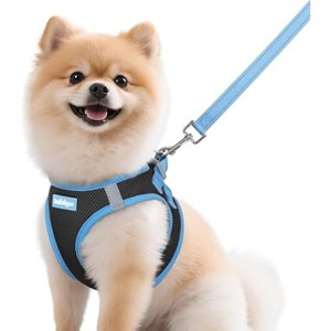 rabbitgoo Dog HarnessSoft Walking Reflective Puppy Vest for Small Dogs, Black & Light Blue, M - 1 of 1