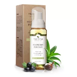 Tree To Tub, Soapberry Gentle Foaming Face Wash Cleanser, Moisturizing, pH Balanced for Dry Sensitive Skin, Unscented, 4 fl oz (120 ml)