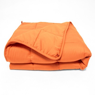Quilted Microfiber Weighted Blanket by Blue Nile Mills