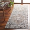 Antique Patina ANP646 Power Loomed Indoor Rugs - Safavieh - 2 of 4