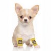 Unique Bargains Dog Leg Warmers Winter Warm Knitted Joint Protection Suitable for Kitten Puppies - 3 of 4