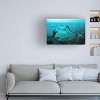 Trademark Fine Art -Ata Alishahi 'Sleeping Mermaid' Canvas Art - 2 of 4