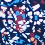 navy mosaic