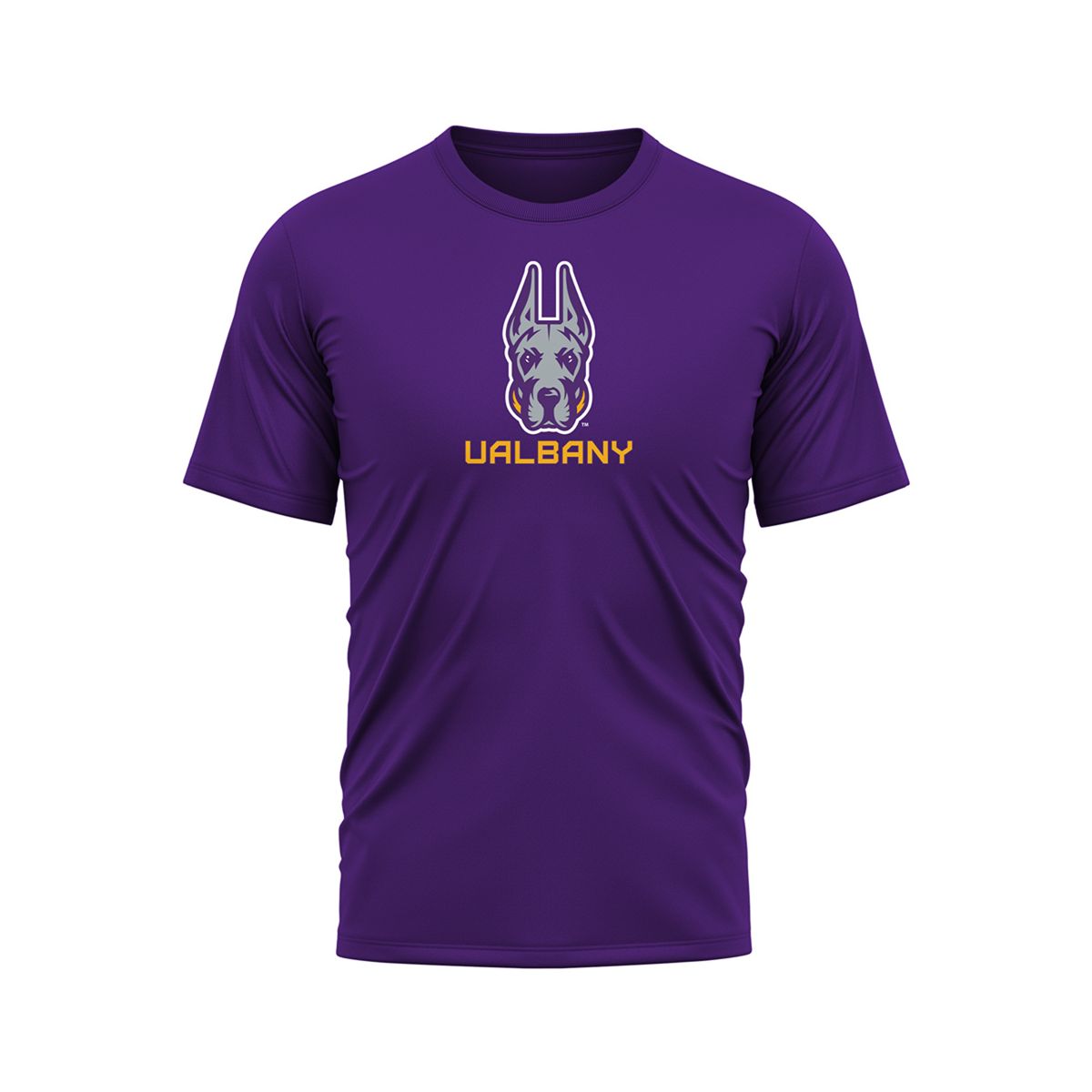 Men's Campus Lab University At Albany Men's Sport Active T-Shirt Primary Logo